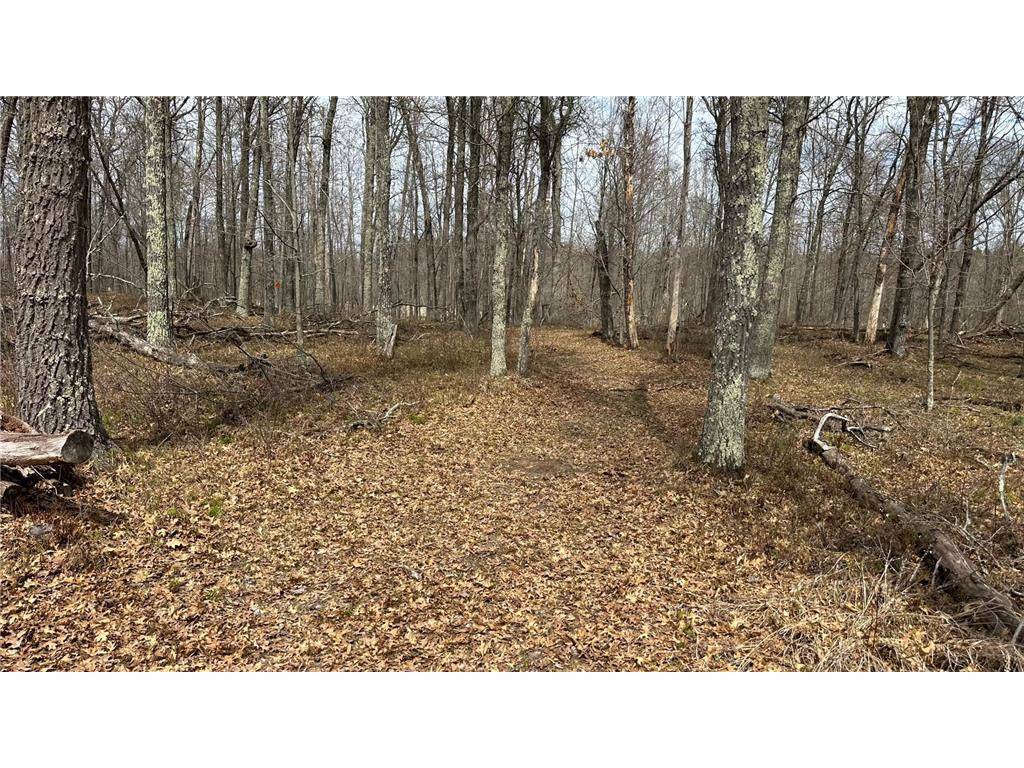 29770 Little Bear Drive Danbury WI 54830 - Crystal Lake 7066901 image6