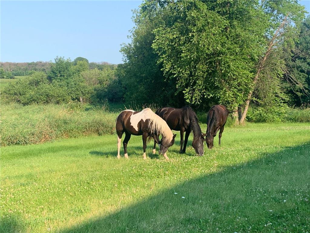 29776 Hayes Avenue Northfield MN 55057 7032914 image19