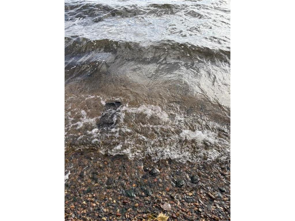 29802 W Shore Drive Pengilly MN 55775 - Swan Lake 6808572 image6