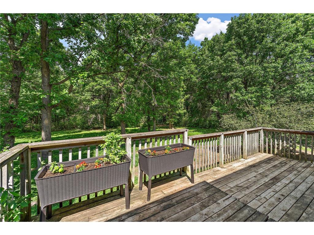 29830 Hemingway Avenue Wyoming MN 55079 7081107 image25