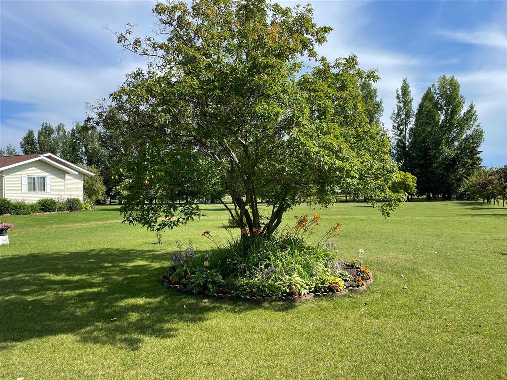 29852 400th Avenue Spruce Twp MN 56751 6761960 image13