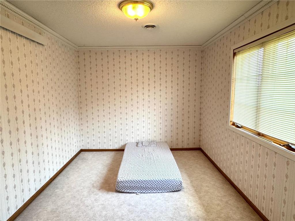 29852 400th Avenue Spruce Twp MN 56751 6761960 image46