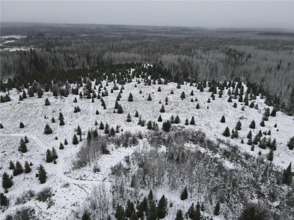 29892 County Road 231 Effie MN 56639 6649707 image1