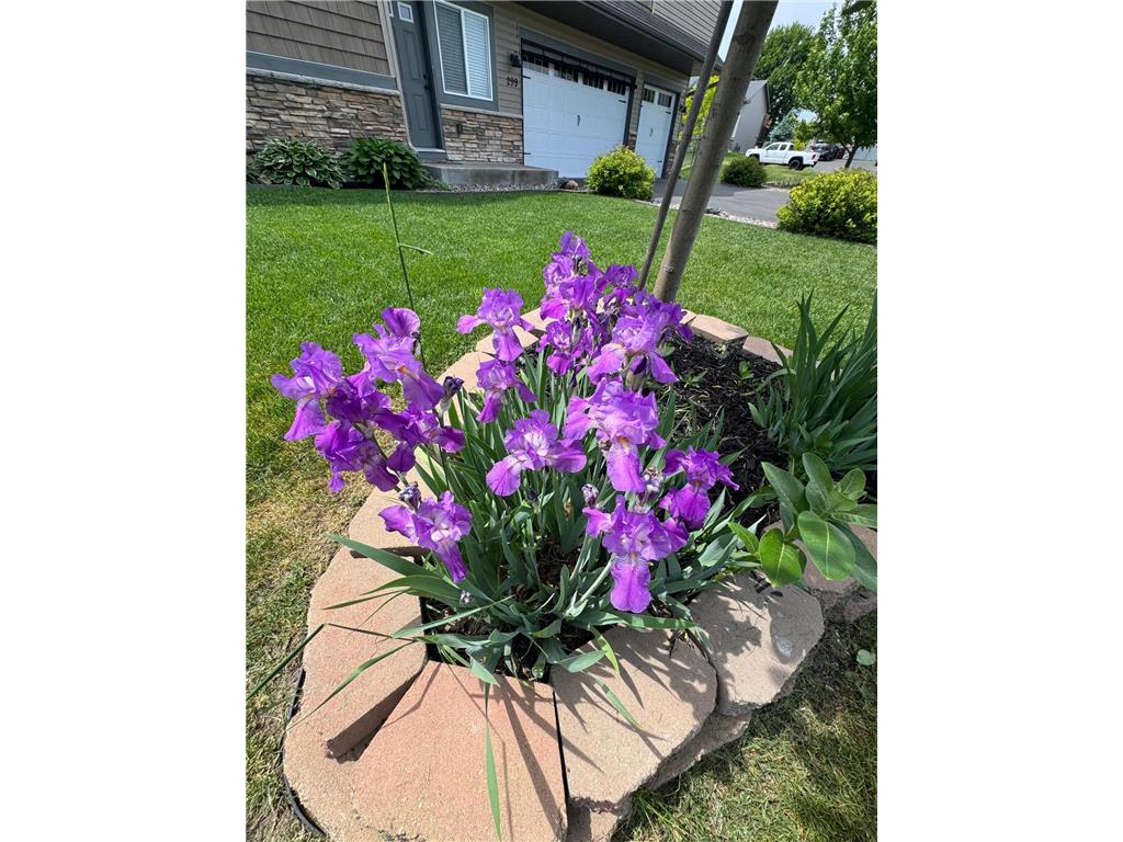 299 Krause Avenue W Delano MN 55328 7085795 image5