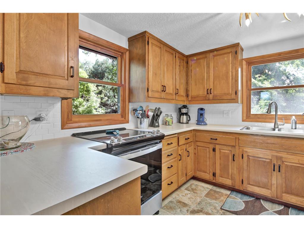 29923 Lakeview Avenue Wacouta Twp MN 55066 - PEPIN 6786726 image13