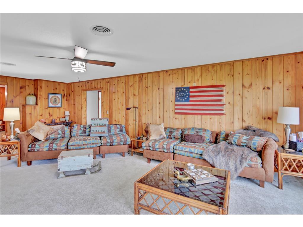 29923 Lakeview Avenue Wacouta Twp MN 55066 - PEPIN 6786726 image22