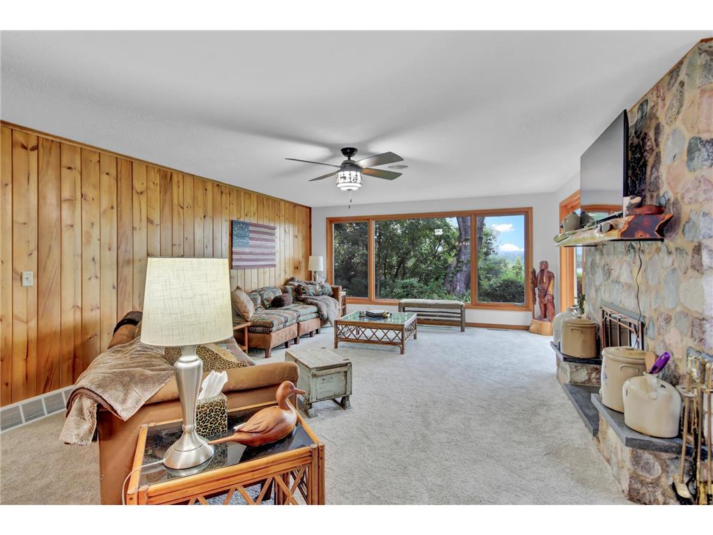 29923 Lakeview Avenue Wacouta Twp MN 55066 - PEPIN 6786726 image23