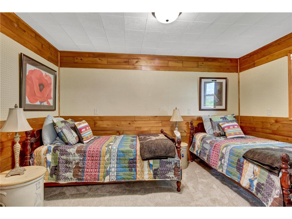 29923 Lakeview Avenue Wacouta Twp MN 55066 - PEPIN 6786726 image33