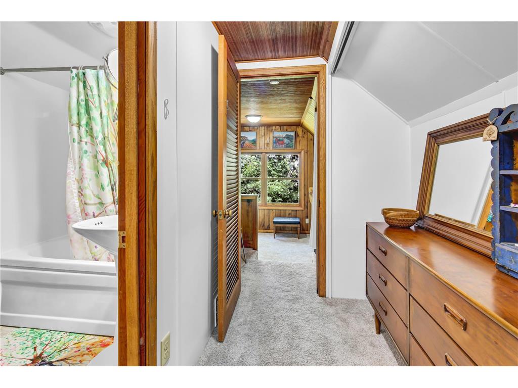 29923 Lakeview Avenue Wacouta Twp MN 55066 - PEPIN 6786726 image36