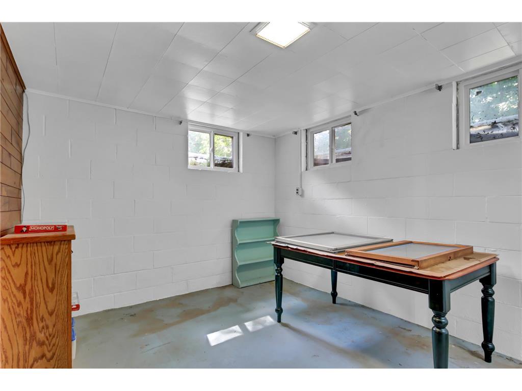 29923 Lakeview Avenue Wacouta Twp MN 55066 - PEPIN 6786726 image42