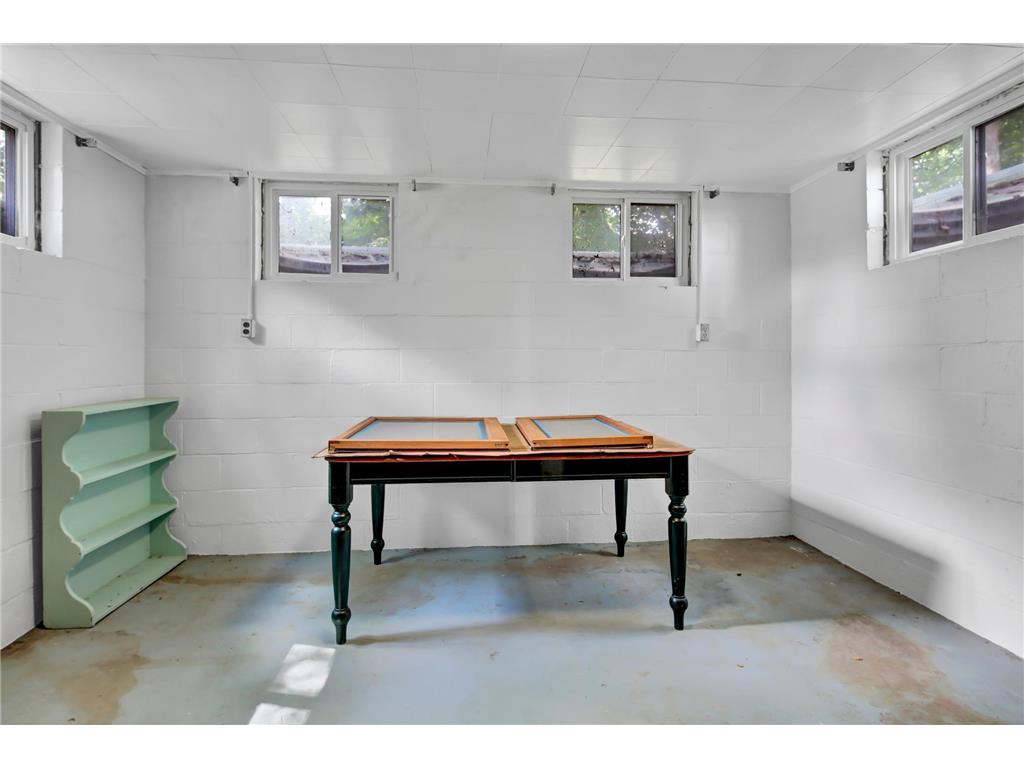 29923 Lakeview Avenue Wacouta Twp MN 55066 - PEPIN 6786726 image43