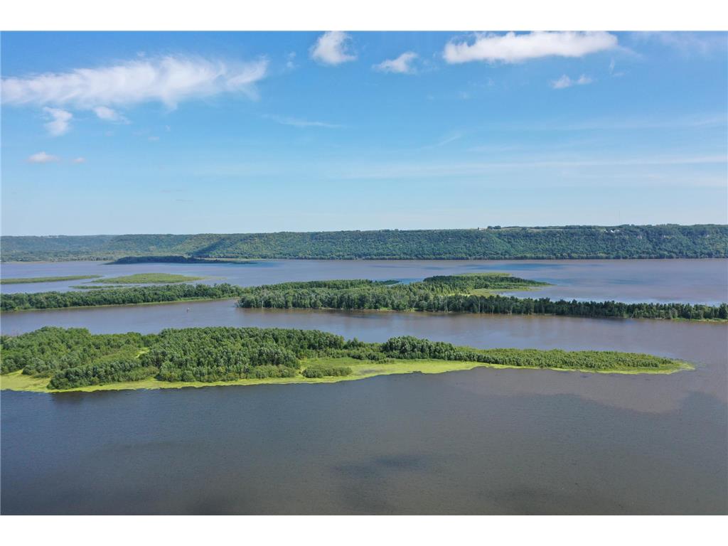 29923 Lakeview Avenue Wacouta Twp MN 55066 - PEPIN 6786726 image59