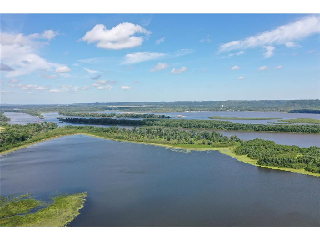 29923 Lakeview Avenue Wacouta Twp MN 55066 - PEPIN 6786726 image61