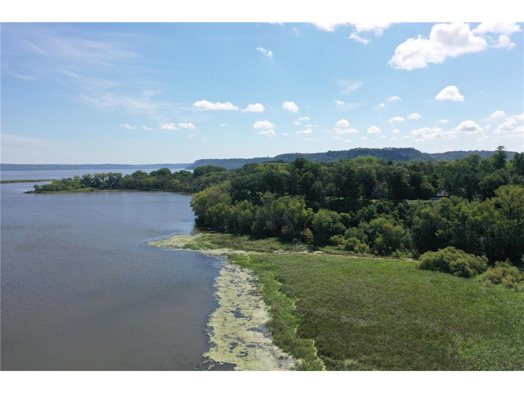 29923 Lakeview Avenue Wacouta Twp MN 55066 - PEPIN 6786726 image63