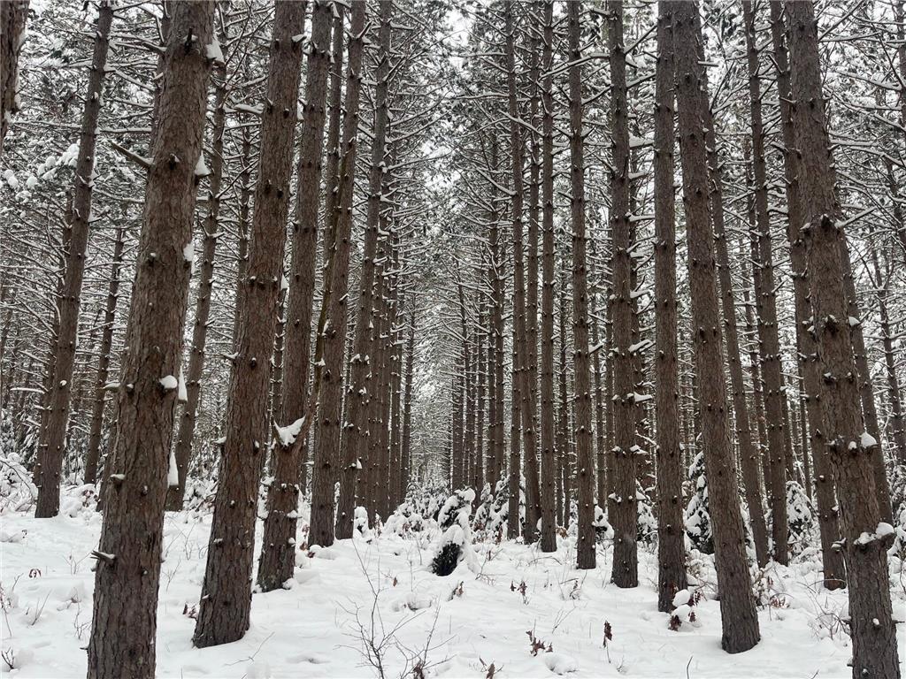 29931 Minerva Road Swiss Twp WI 54830 7004166 image1