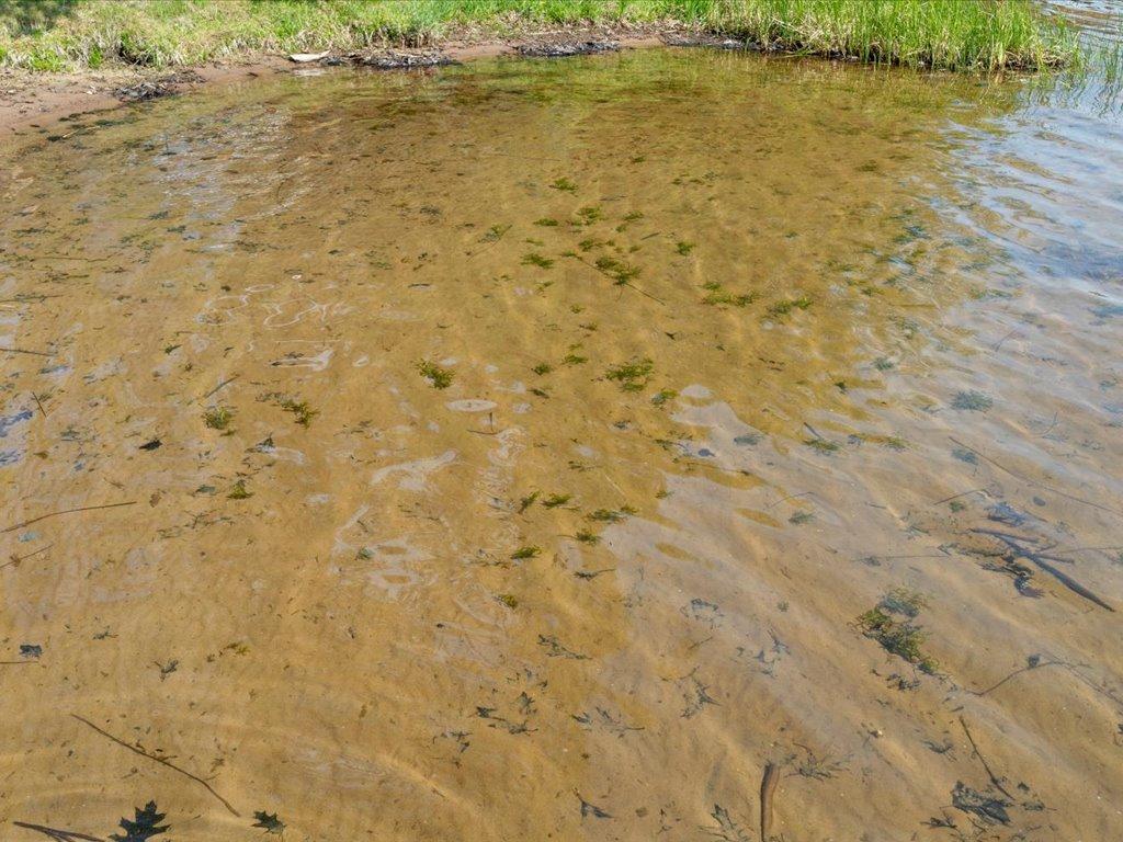 29933 391st Place Aitkin MN 56431 - Lone 7083553 image15