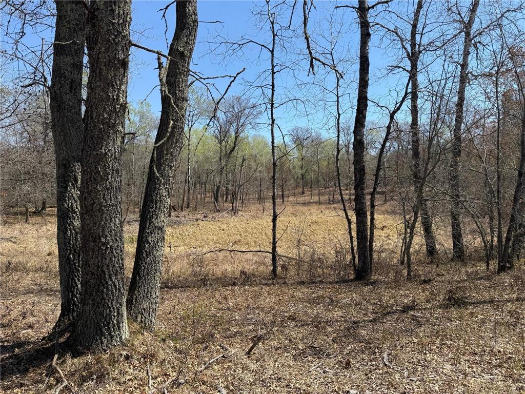 29941 N Bay Drive Danbury WI 54830 6716501 image2