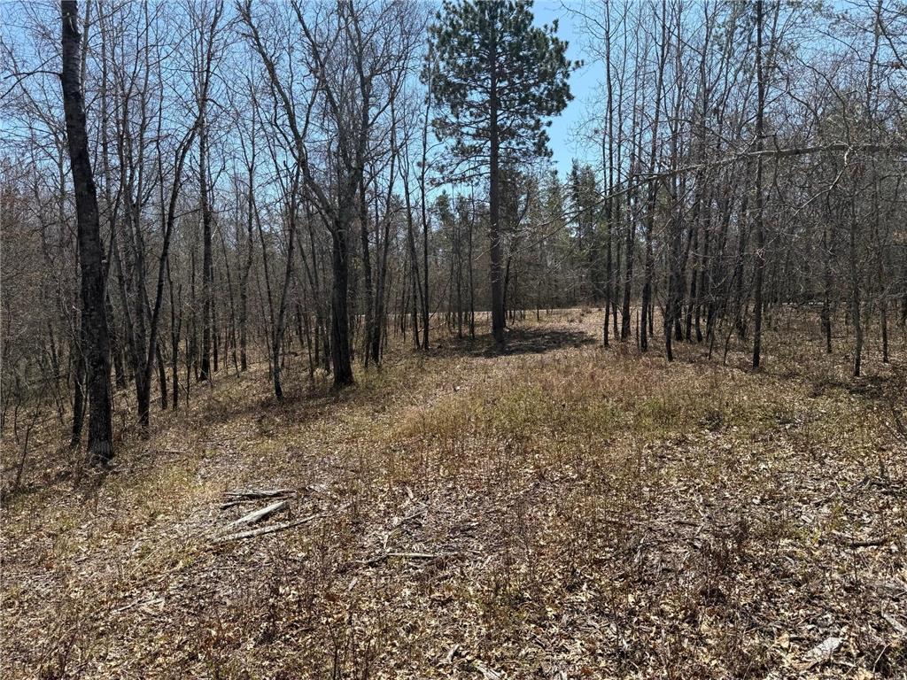 29941 N Bay Drive Danbury WI 54830 6716501 image3