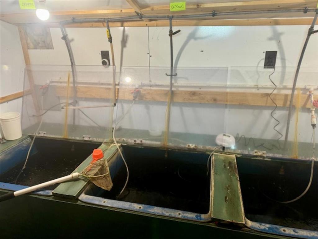 2995 Lake Road Barnes WI 54873 6645224 image19