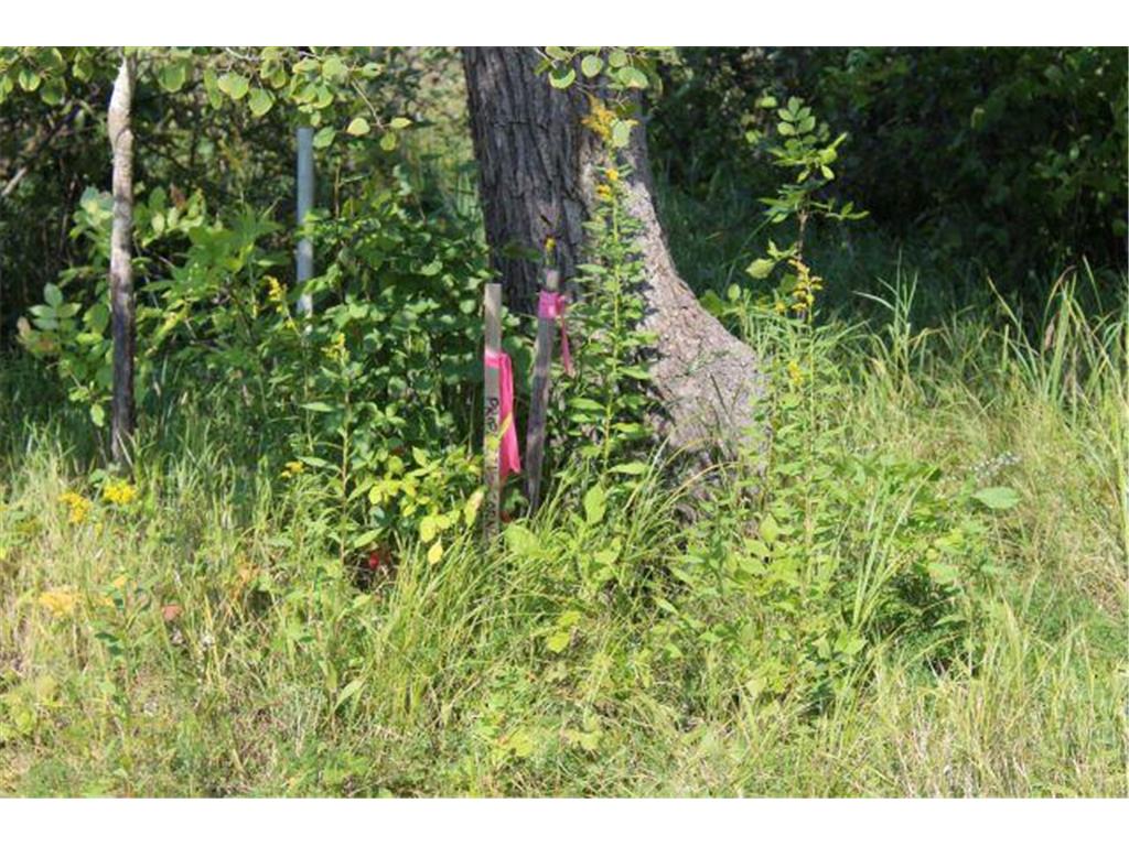 29957 436th Place Aitkin MN 56431 - Little Pine 6713658 image33