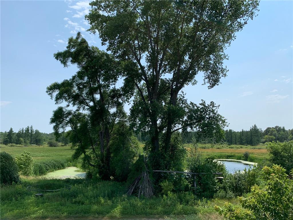 2996 349th Avenue NW Springvale Twp MN 55008 6399045 image1