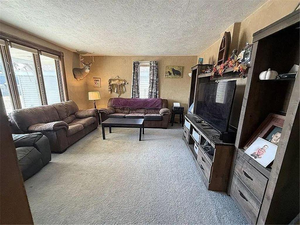 2997 440th Street Lisbon Twp MN 56223 7053071 image12