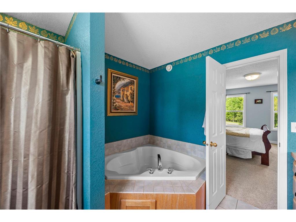 29977 Crocus Street NW Isanti MN 55040 - Francis 7081336 image34
