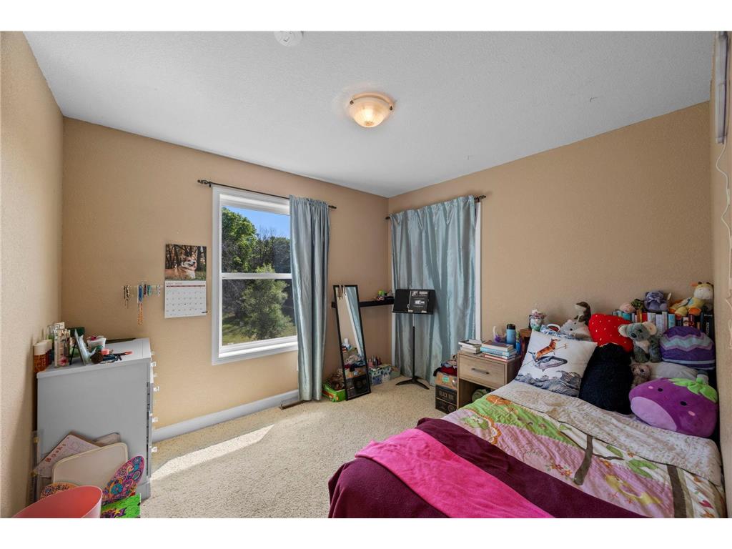 29977 Crocus Street NW Isanti MN 55040 - Francis 7081336 image35