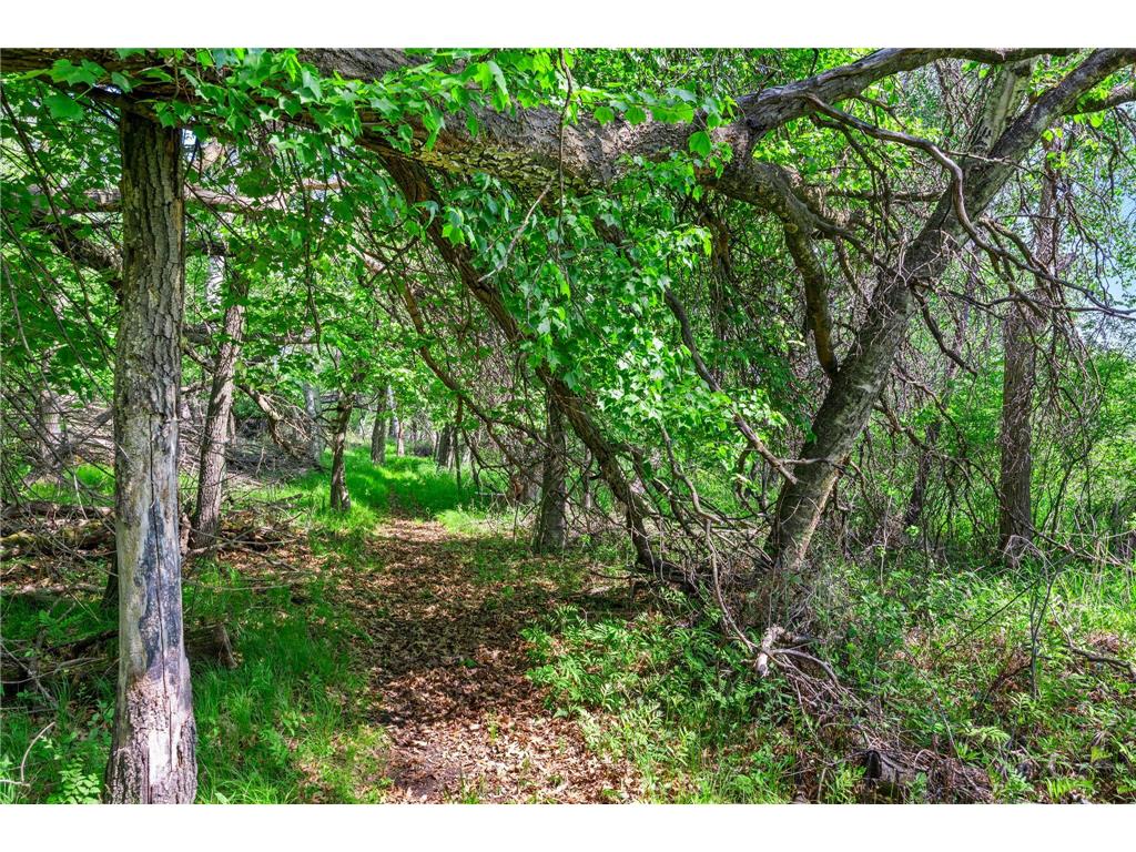 29977 Crocus Street NW Isanti MN 55040 - Francis 7081336 image65