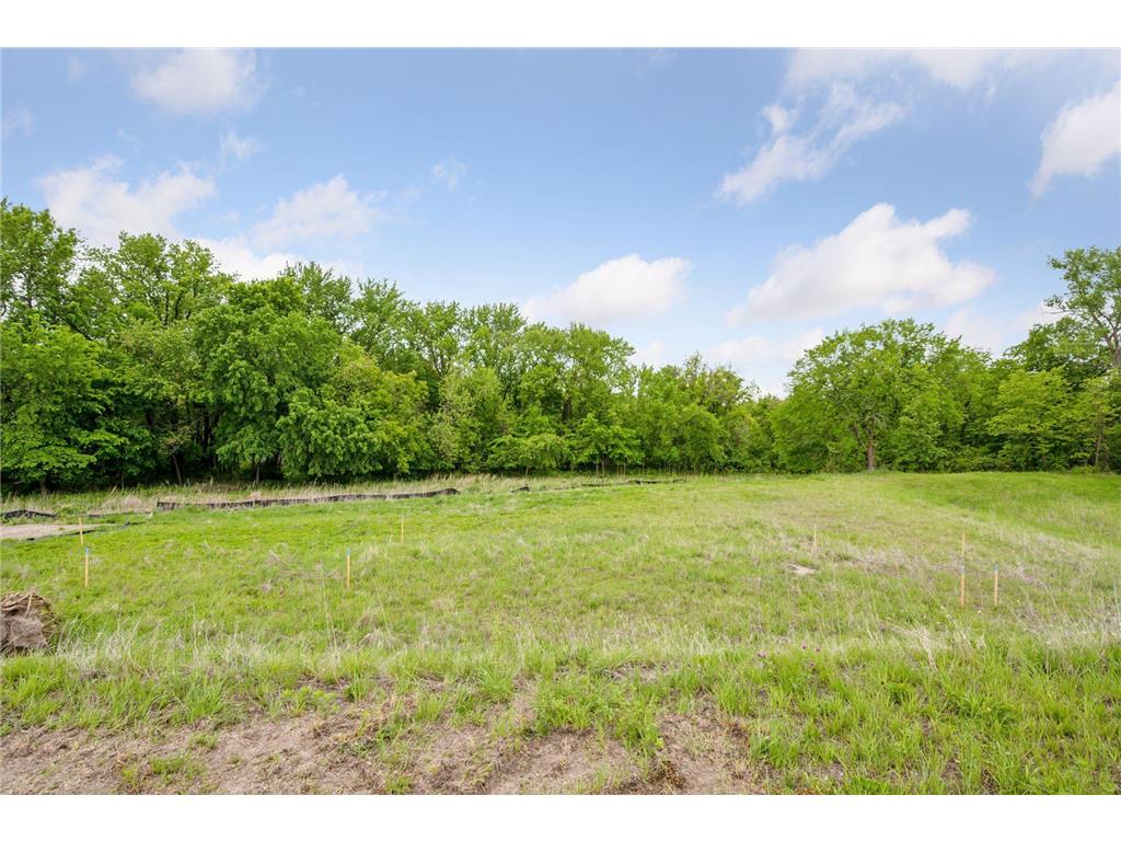 2999 Weston Way Hanover MN 55341 - Crow River 7067196 image3