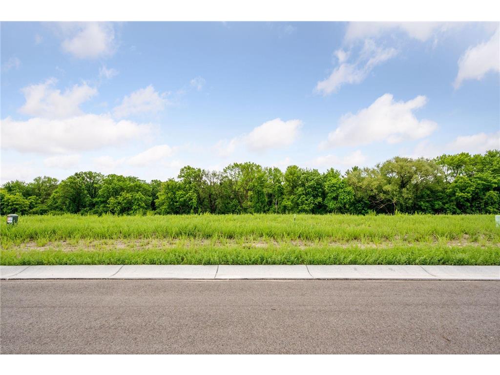 2999 Weston Way Hanover MN 55341 - Crow River 7067196 image6