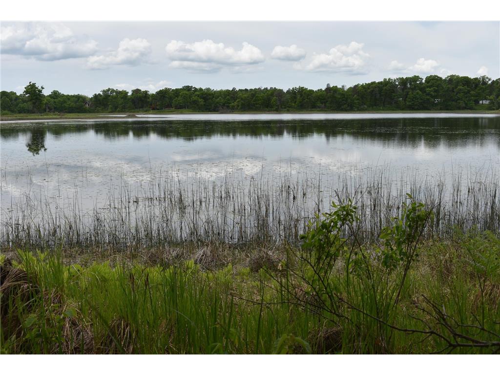 29993 Crystal Lake Drive Webb Lake WI 54830 7084859 image10