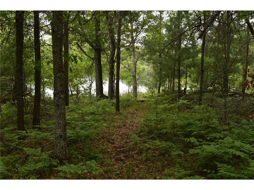 29993 Crystal Lake Drive Webb Lake WI 54830 7084859 image8