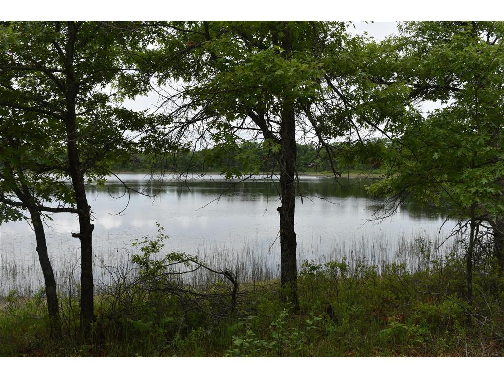 29993 Crystal Lake Drive Webb Lake WI 54830 7084859 image9