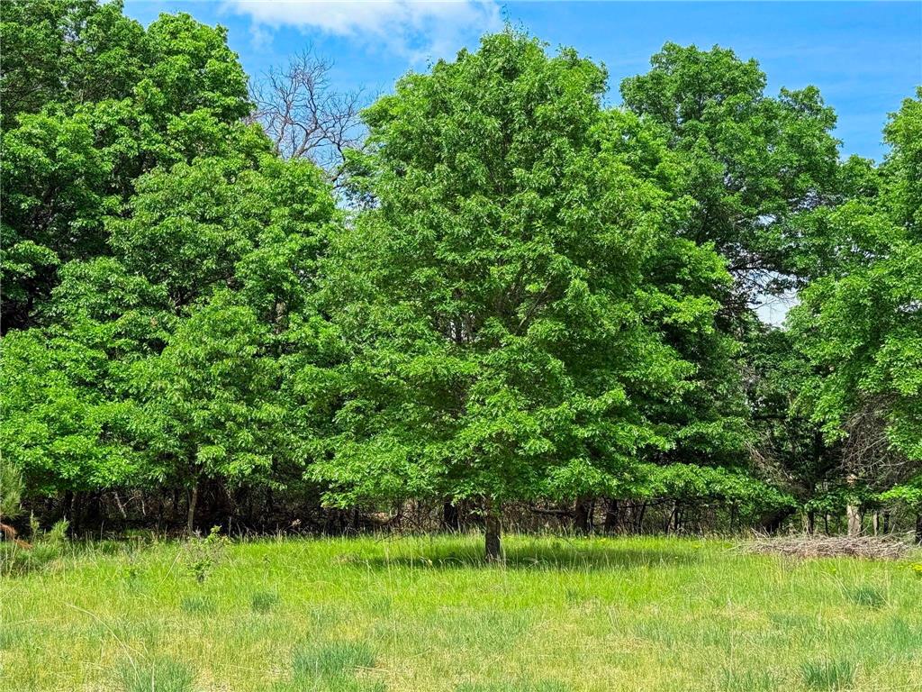 29xxx Crocus Street NW Isanti MN 55040 - Francis 7081457 image7