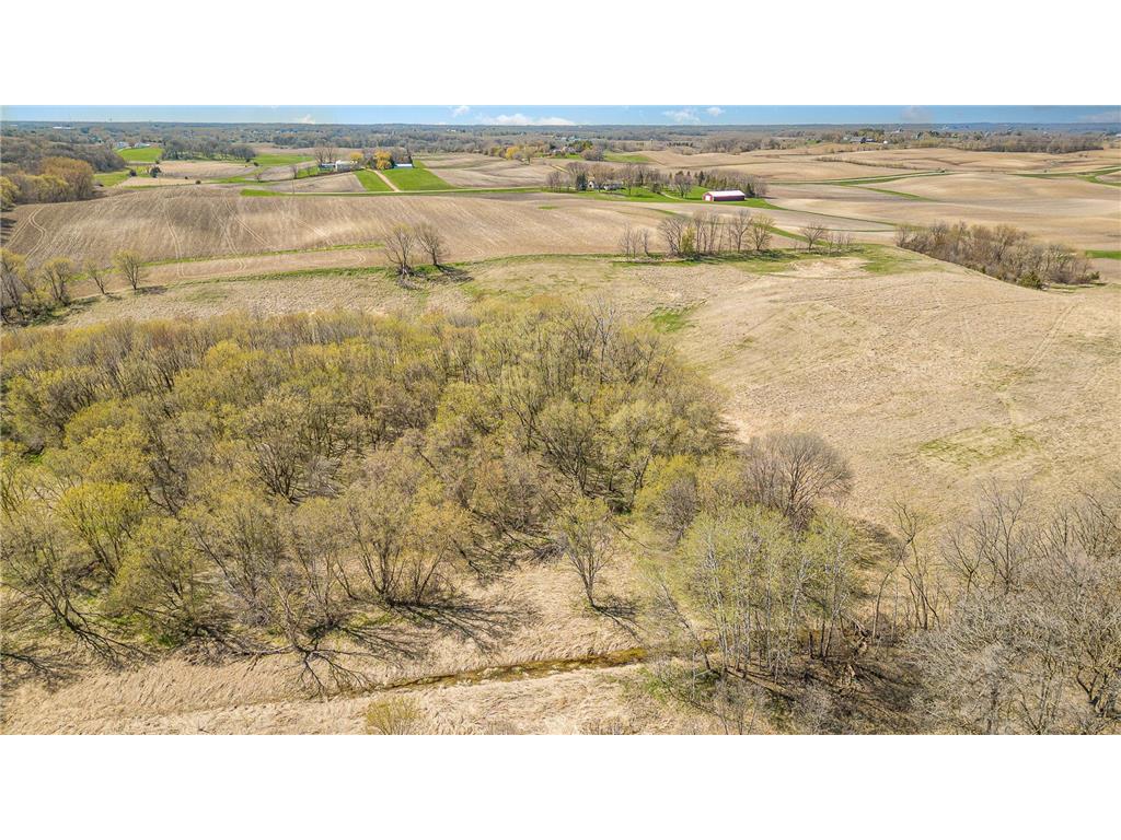 2XX Laurel Avenue Cologne MN 55322 - Miller 6824707 image8