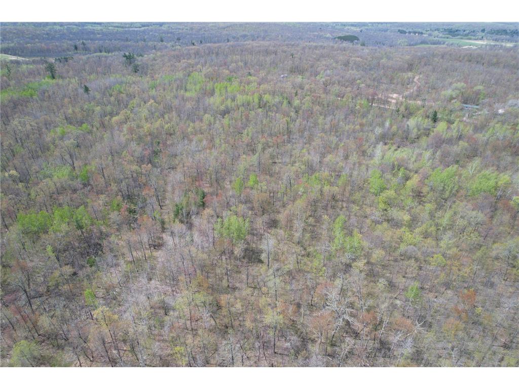 2XXX Ironwood Avenue Hillman Twp MN 55051 7075096 image10