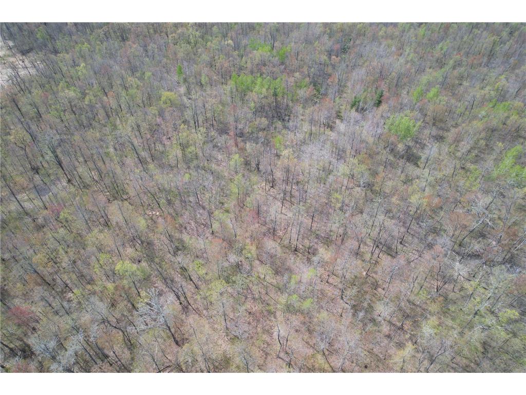 2XXX Ironwood Avenue Hillman Twp MN 55051 7075096 image12