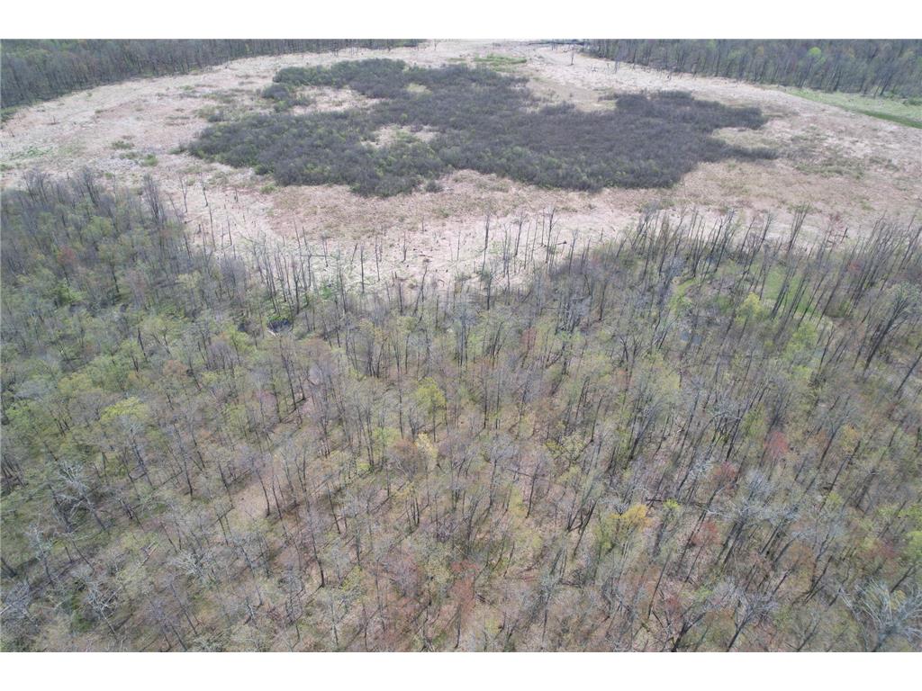2XXX Ironwood Avenue Hillman Twp MN 55051 7075096 image14