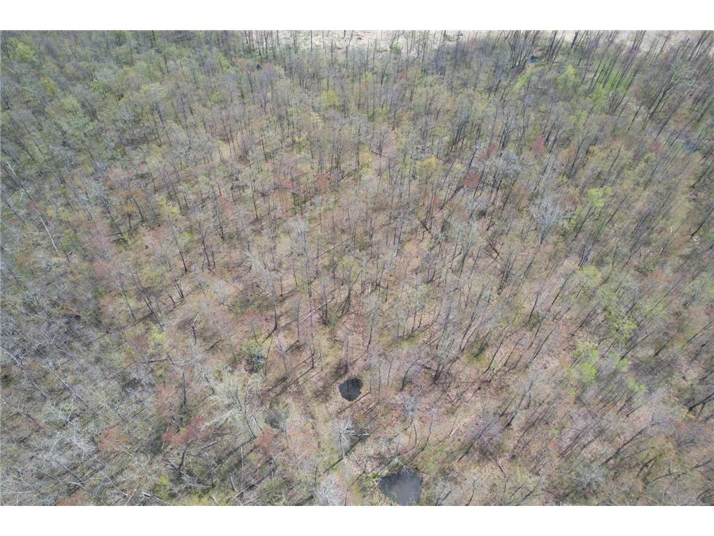 2XXX Ironwood Avenue Hillman Twp MN 55051 7075096 image15