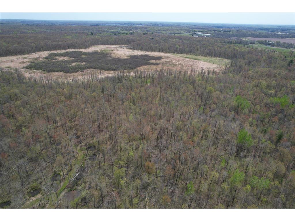 2XXX Ironwood Avenue Hillman Twp MN 55051 7075096 image16