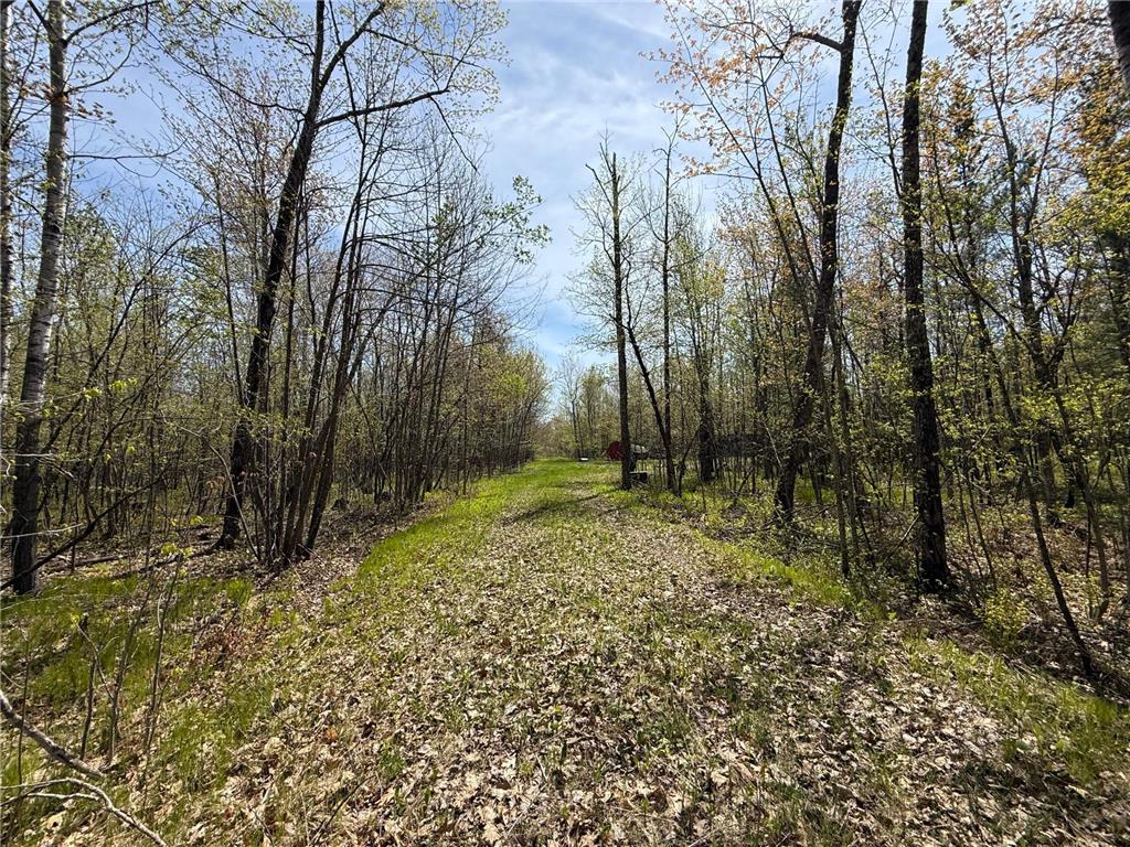 2XXX Ironwood Avenue Hillman Twp MN 55051 7075096 image28