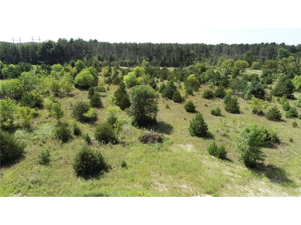2XXXX 174th St NW Big Lake Twp MN 55309 7006867 image2