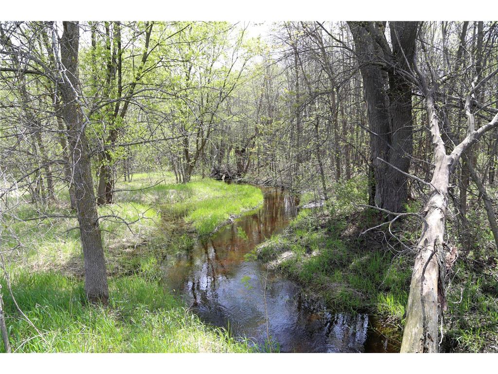 2xx Carling Avenue NE Buffalo Twp MN 55313 6533279 image1