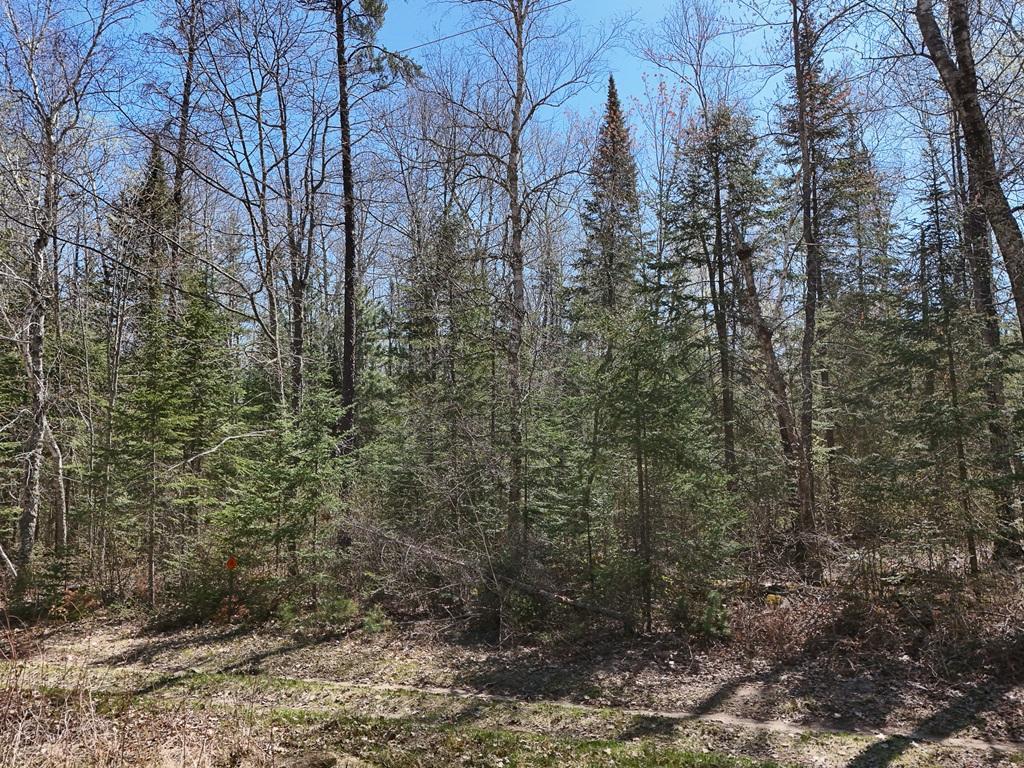 2xx S Lake Lawrence Road NE Outing MN 56662 6718992 image1