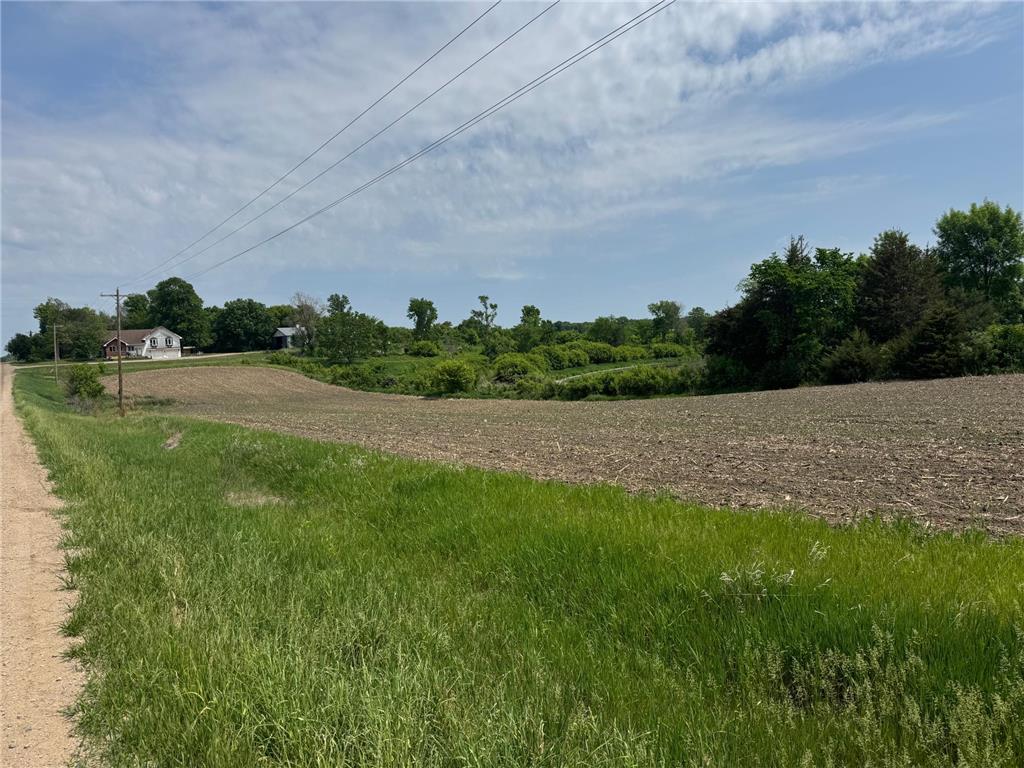 2xxx Baker Avenue NW Buffalo MN 55313 - Albert Lake 7060317 image19