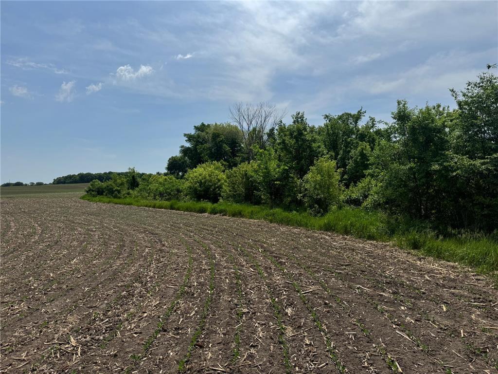 2xxx Baker Avenue NW Buffalo MN 55313 - Albert Lake 7060317 image24