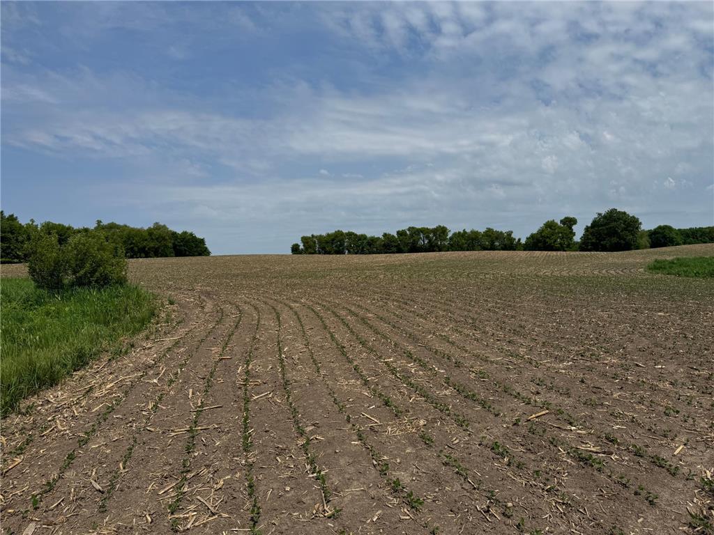 2xxx Baker Avenue NW Buffalo MN 55313 - Albert Lake 7060317 image26
