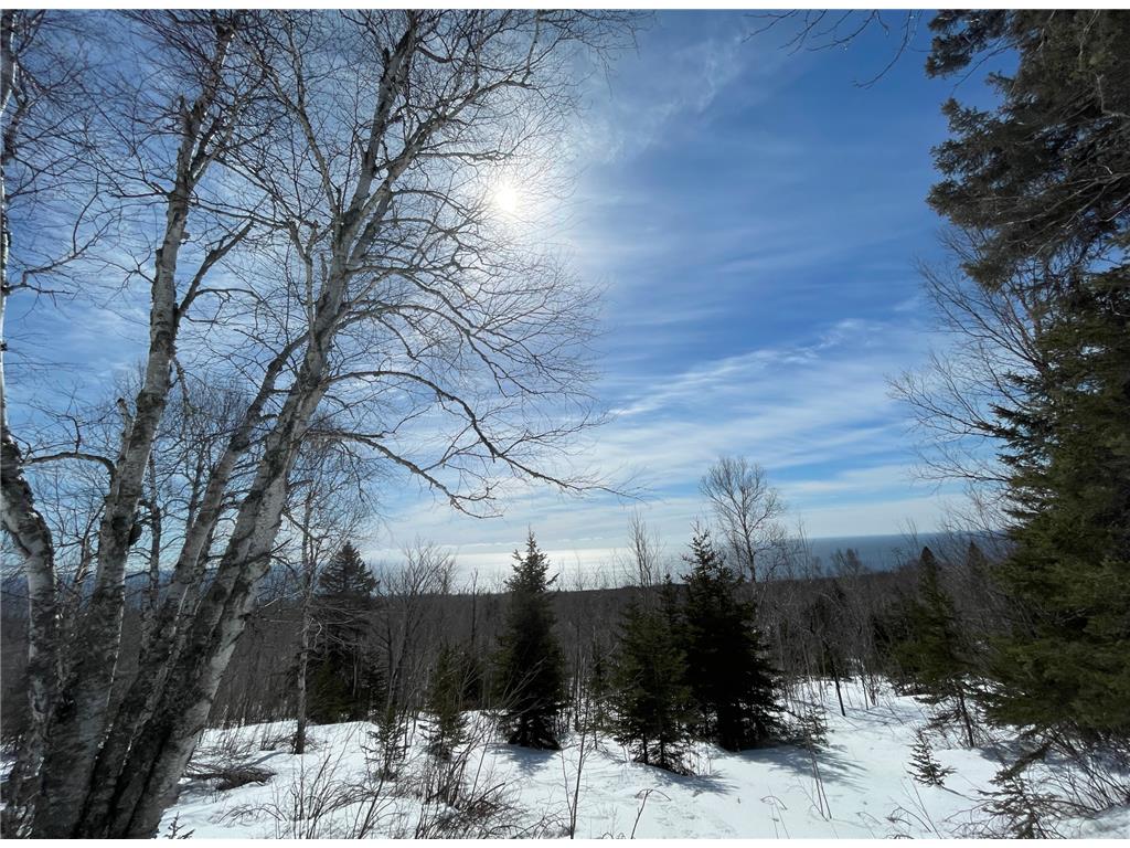 2xxx Sugar Loaf Road Schroeder Twp MN 55613 - Superior 6354203 image1