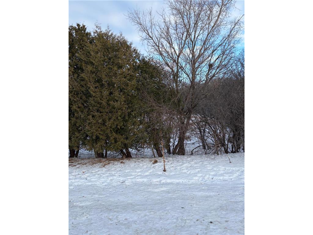 3.38 AC Northside Drive NE Alexandria MN 56308 7001154 image4